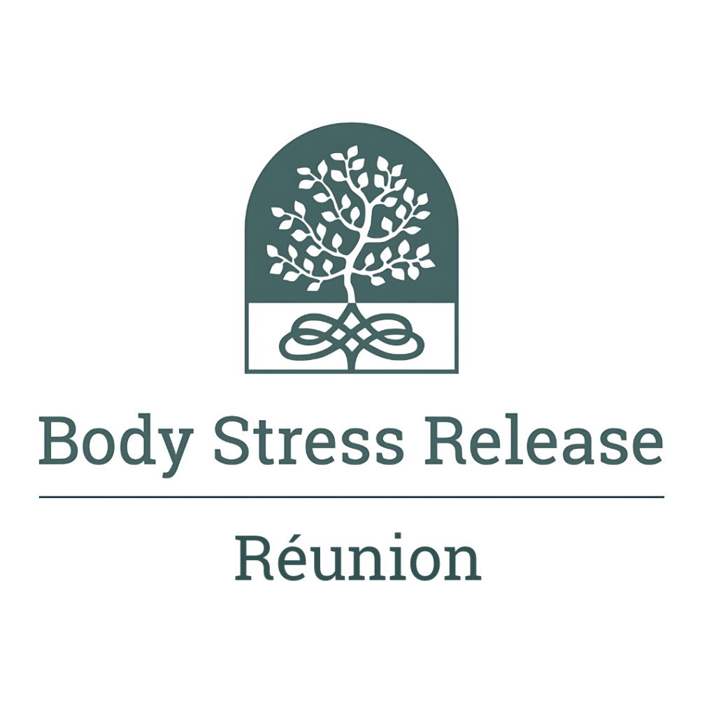 Logo Body Stress Release Réunion