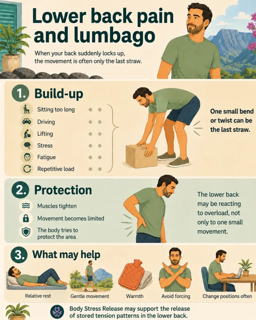 Infographic explaining how lower back pain can build through accumulated tension, why the body may go into protection, and what may help.